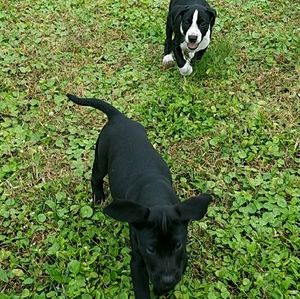 Meet your Posher, Rianna